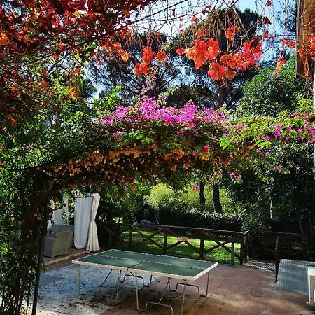 Tenuta La Muratella *